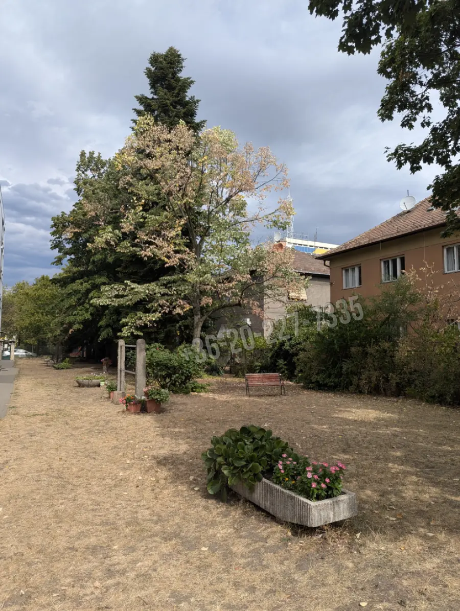 Albérlet, kiadó téglalakás, Budapest, XIV. kerület