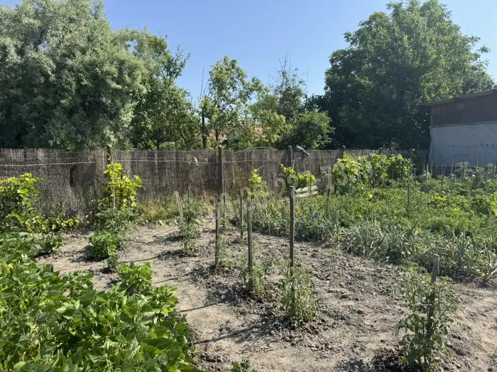 Pest megye - Lórév