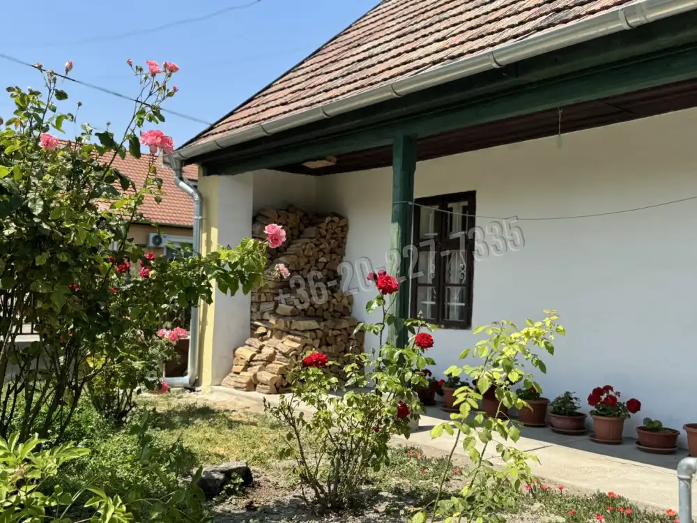 Pest megye - Ráckeve