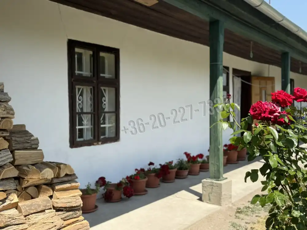 Pest megye - Ráckeve