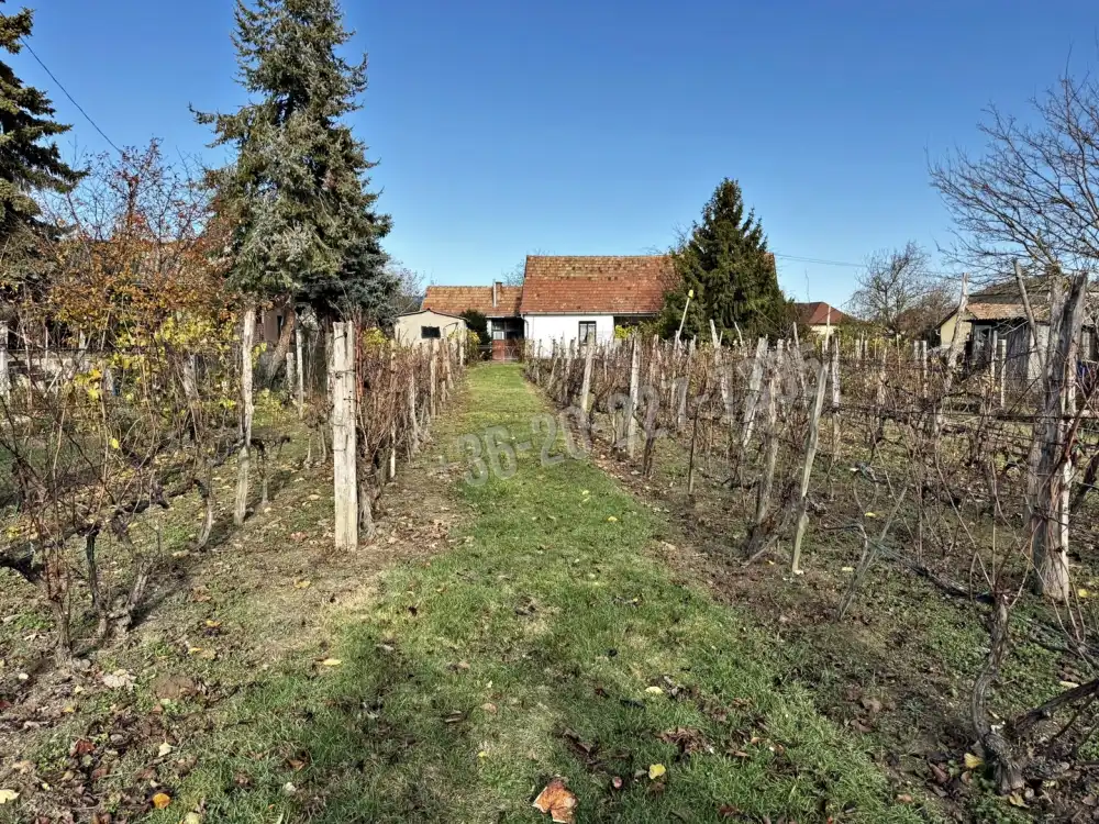 Pest megye - Ráckeve