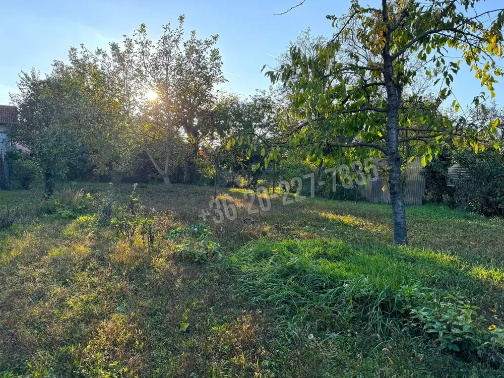 Pest megye - Szigetszentmiklós