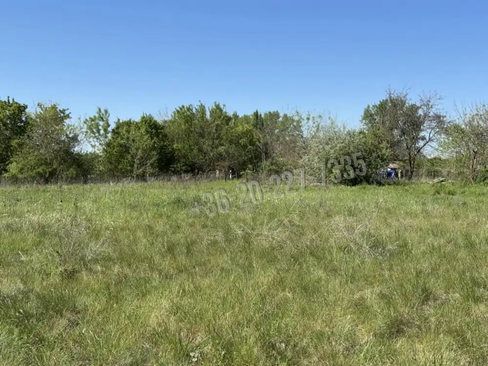 Pest megye - Ráckeve