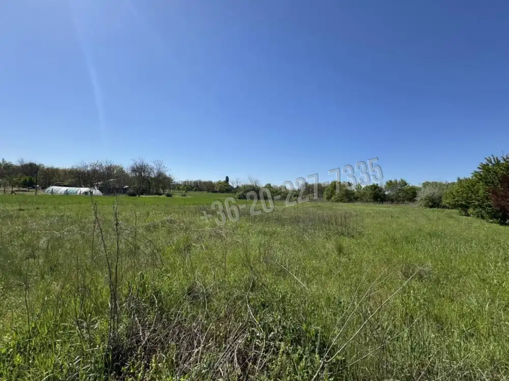 Pest megye - Ráckeve