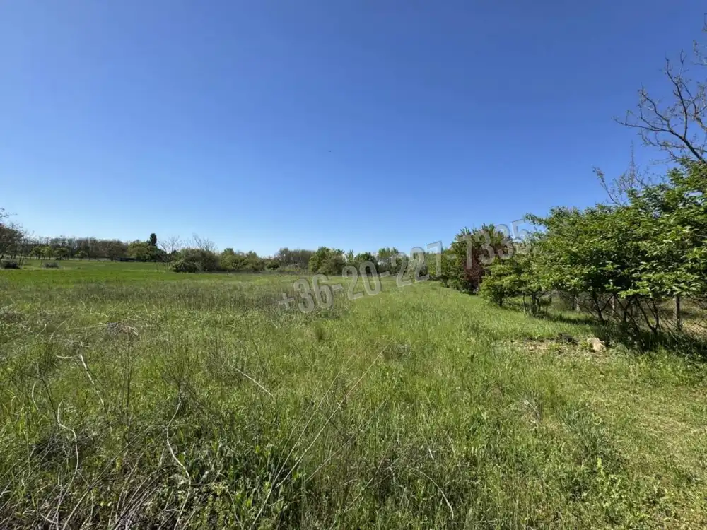 Pest megye - Ráckeve