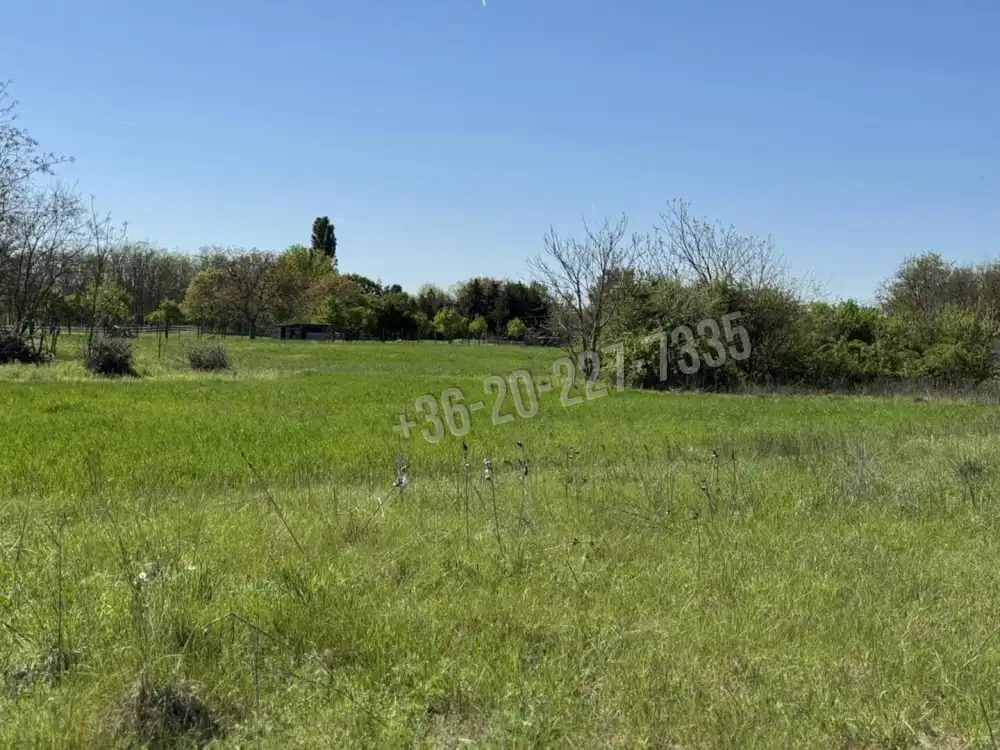 Pest megye - Ráckeve