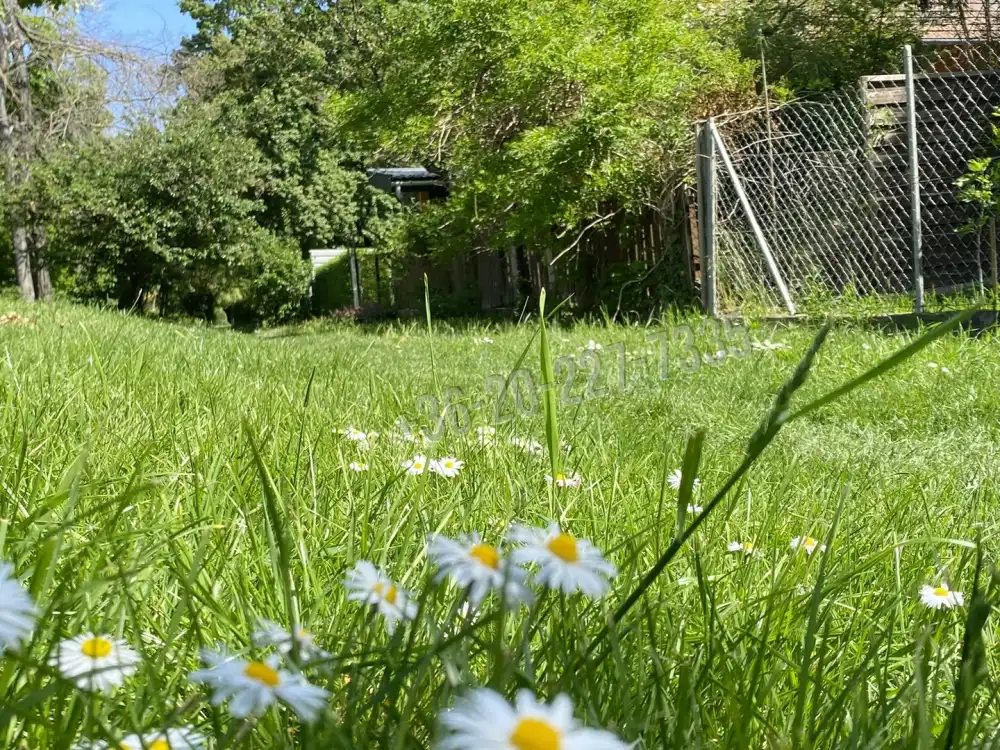 Pest megye - Kiskunlacháza