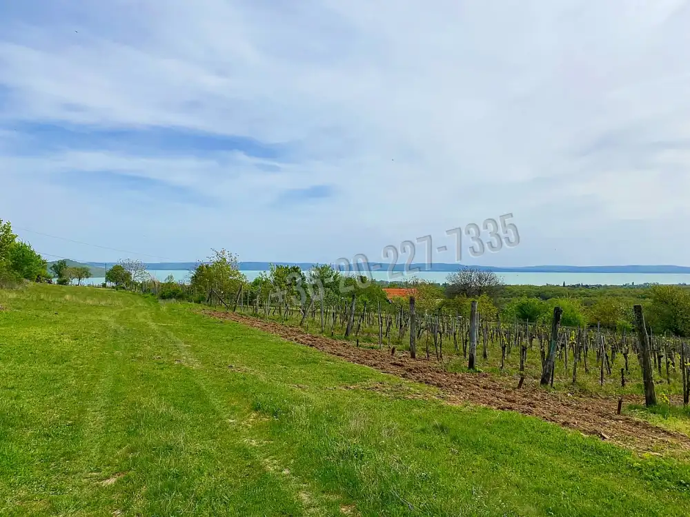 Veszprém megye - Örvényes