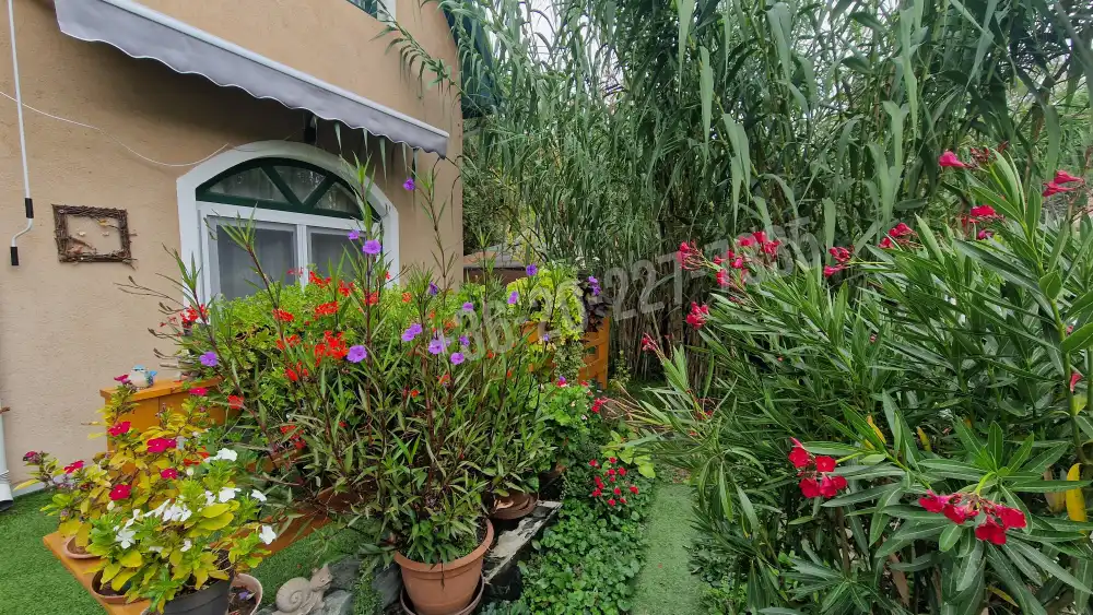 Pest megye - Ráckeve