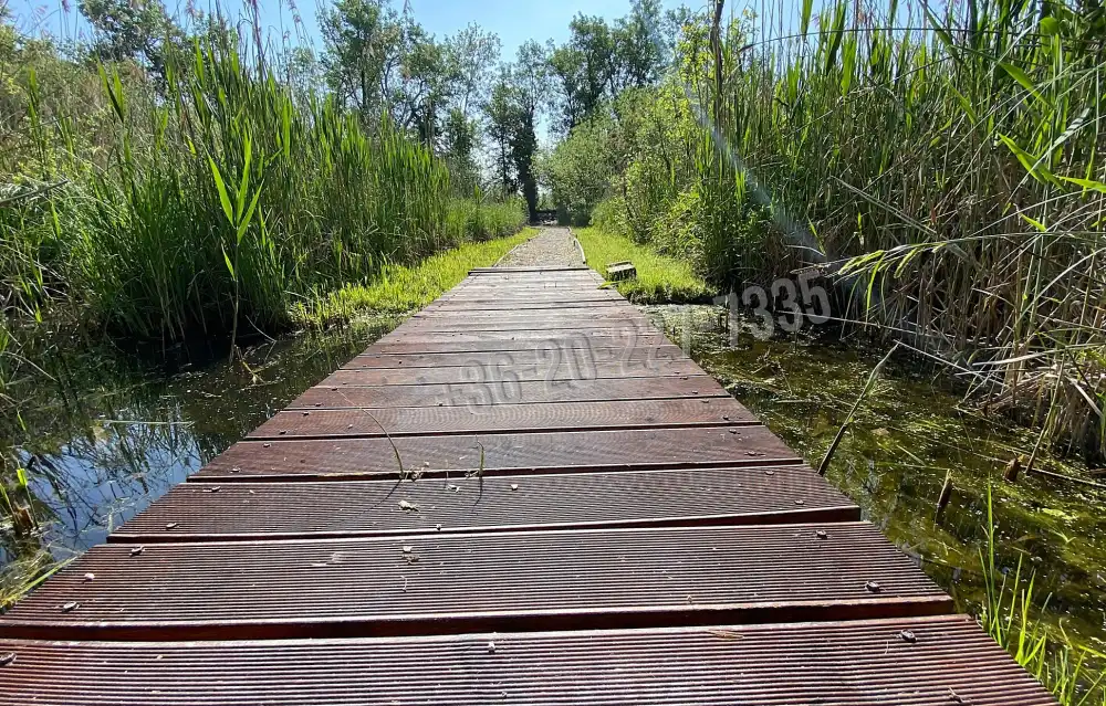 Pest megye - Szigetbecse