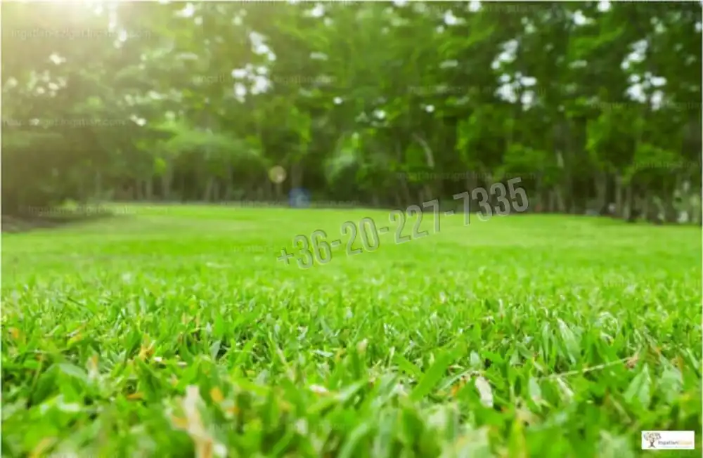 Pest megye - Ráckeve