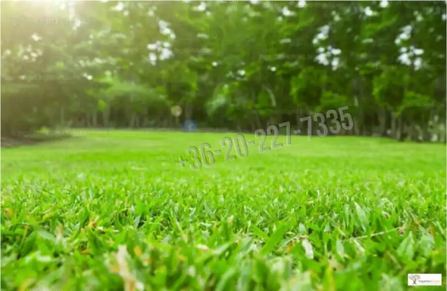 eladó  Szántó, Ráckeve