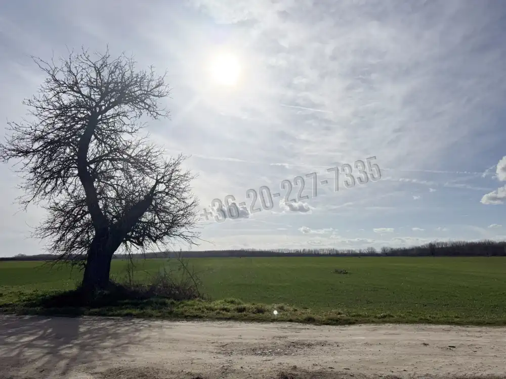 Pest megye - Ráckeve